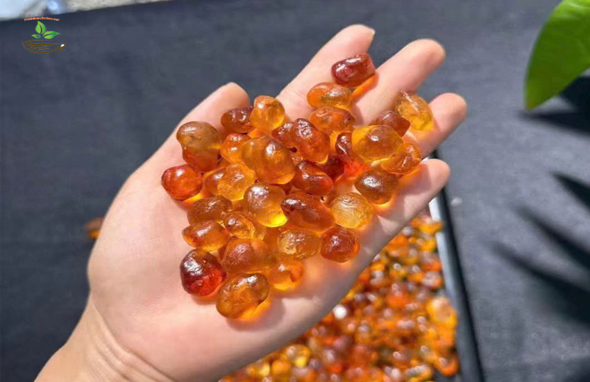 ăn nhựa đào có tốt và cách bảo quản