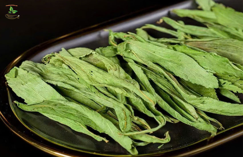 địa chỉ bán cỏ ngọt