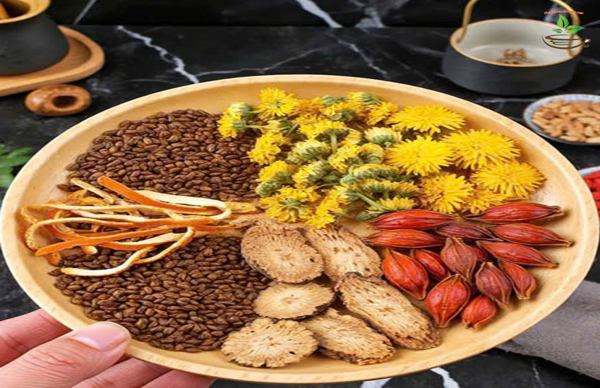 địa chỉ bán nụ vối nam định