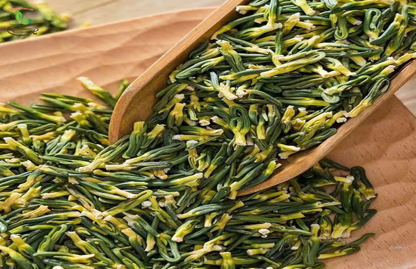 địa chỉ bán tâm sen đồng tháp