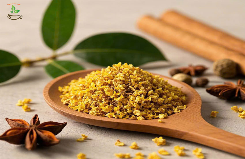 địa chỉ mua hoa mộc quế