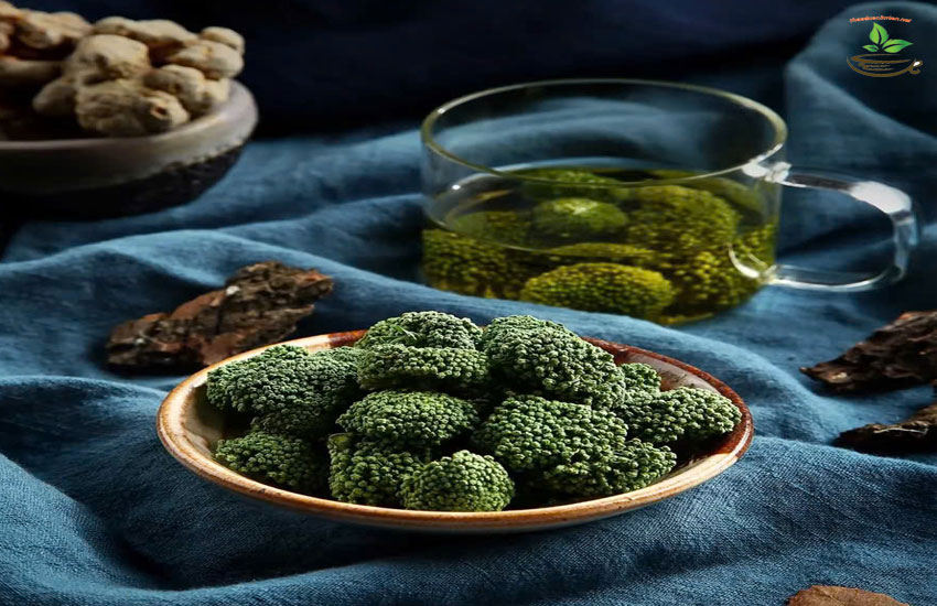 đối tượng dùng nụ tam thất