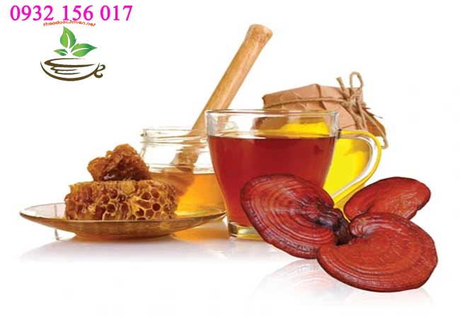 điều lưu ý khi dùng nấm linh chi