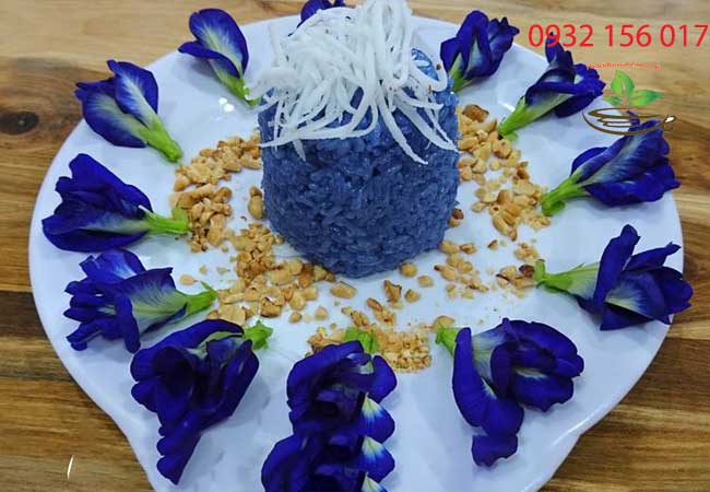 10 công dụng của hoa đậu biếc