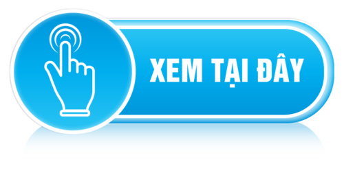 Công dụng của trà hoa cúc khô