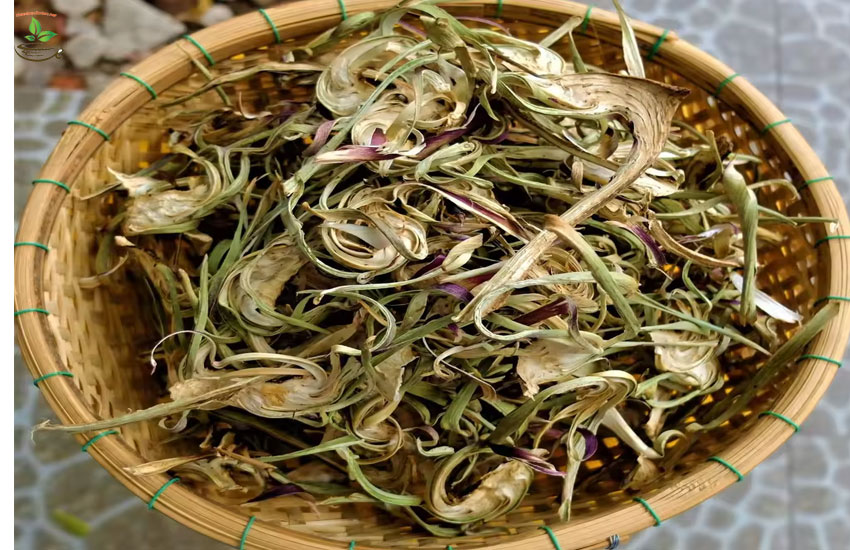 atiso đà lạt làm mát gan