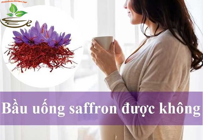 Đối tượng phụ nữ có thai và đang cho con bú có nên dùng nhụy hoa nghệ tây hay không? bà bầu có uống được nhụy hoa nghệ tây