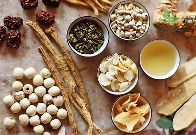 bài thuốc trị yếu sinh lý