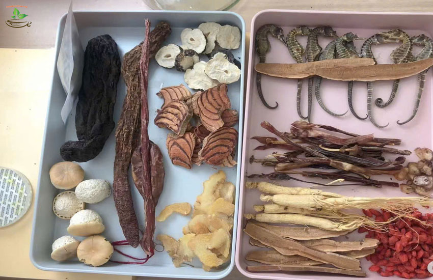 cá ngựa trị thận yếu