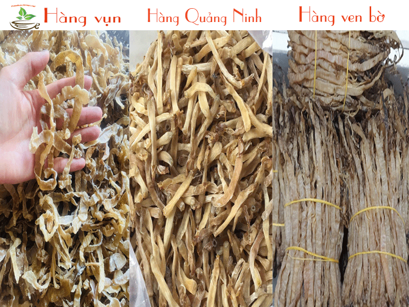 Sá sùng khô Các loại sá sùng biển