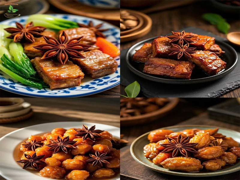 cách dùng hoa hồi