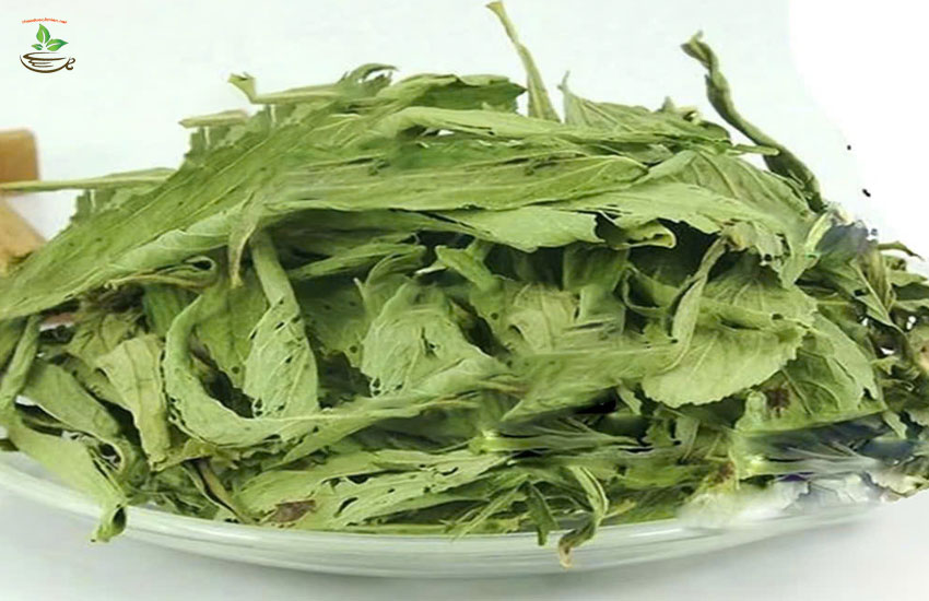 cách dùng lá cỏ ngọt