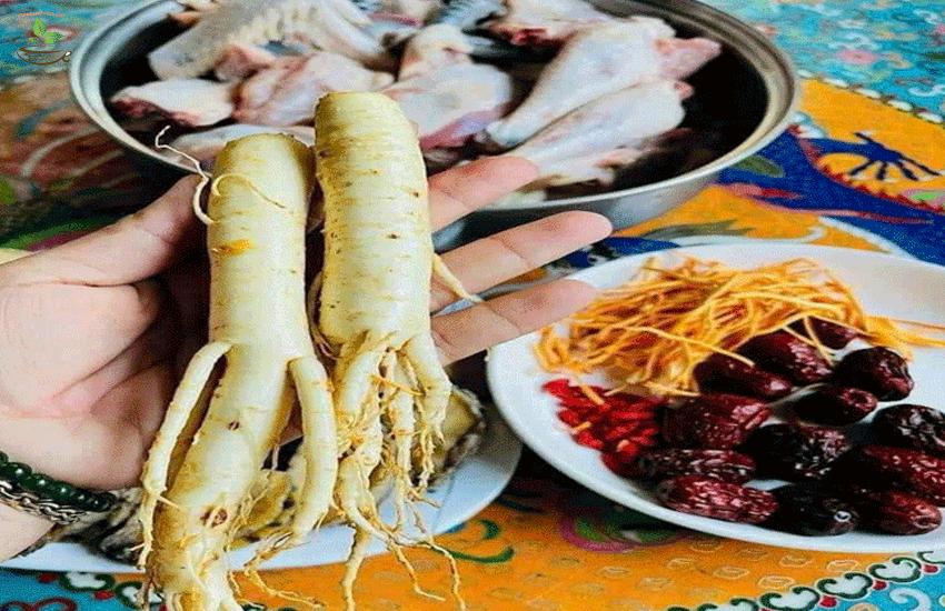 cách dùng nhân sâm hàn quốc