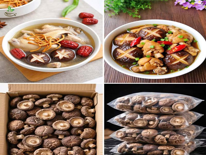 cách sử dụng nấm đông cô