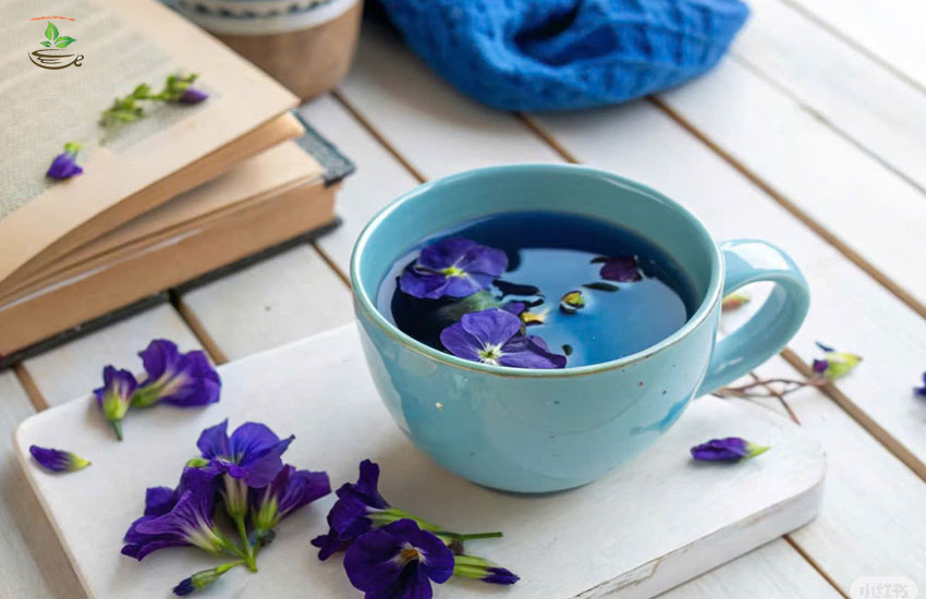 cách pha trà sữa hoa đậu biếc