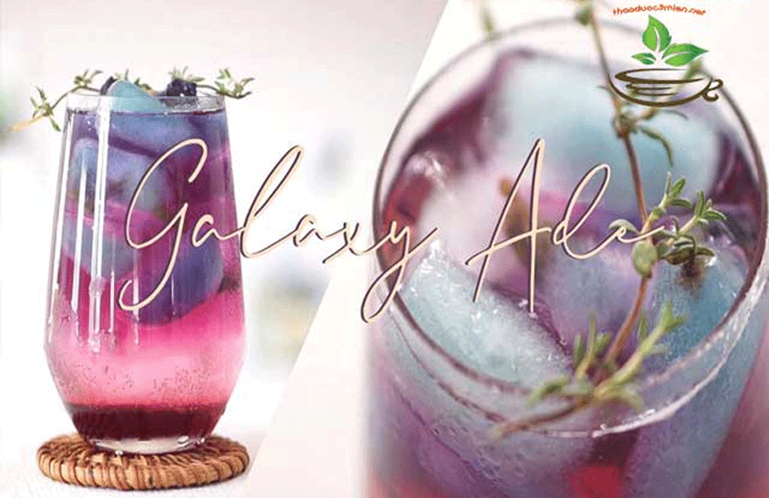 cach sử dụng atiso đỏ