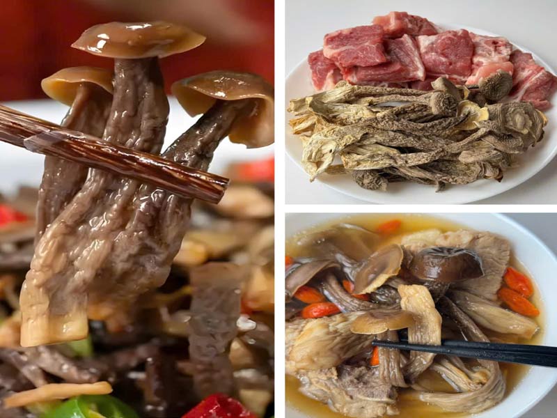 cách sử dụng nấm lộc nhung