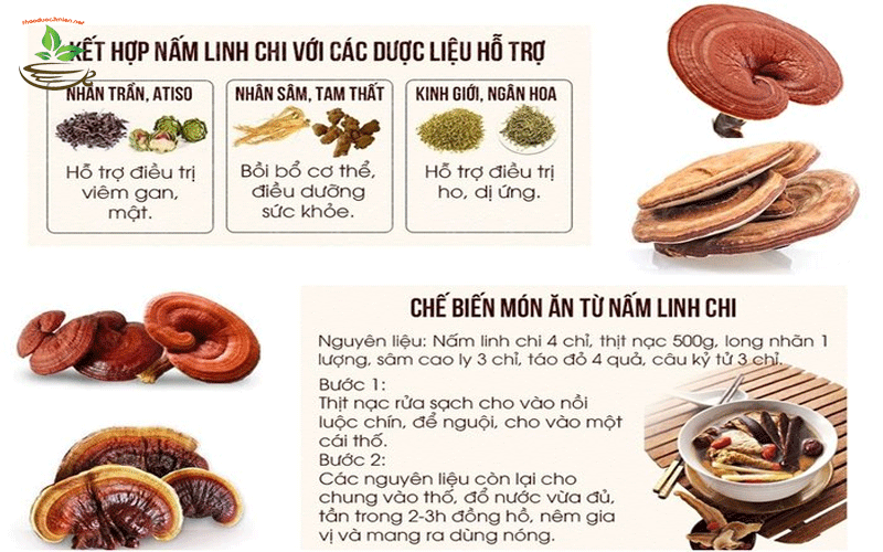 Nấm Linh Chi Hàn Quốc Cách sử dụng nấm linh chi đỏ Hàn Quốc