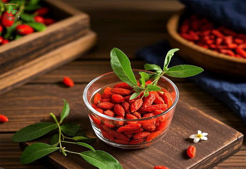 hạt câu kỷ tử