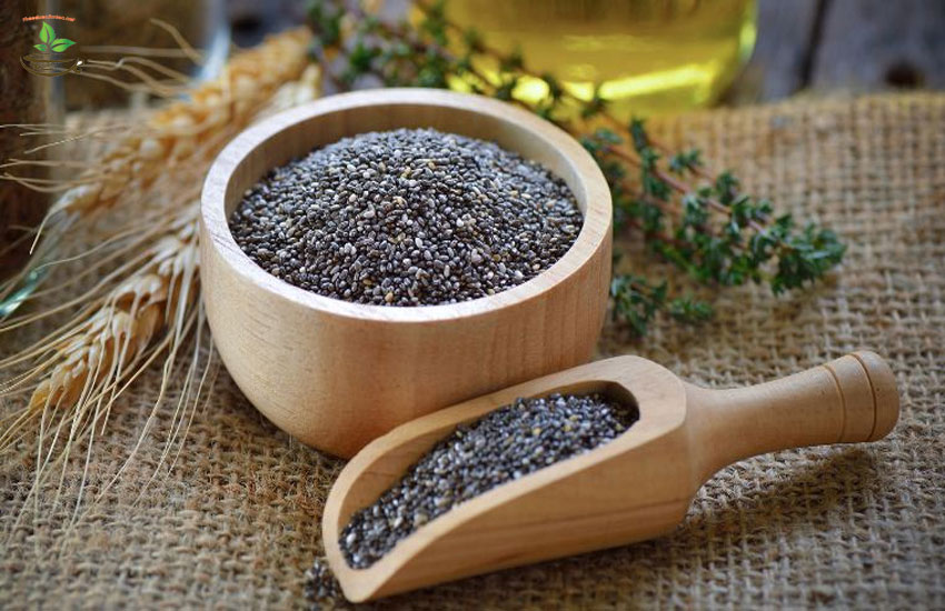 công dụng chính của hạt chia