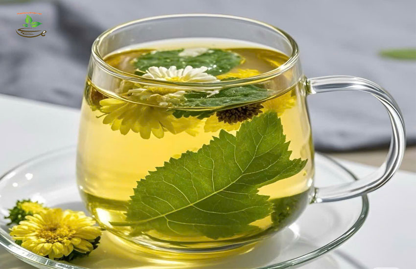 công dụng chính lá bạc hà