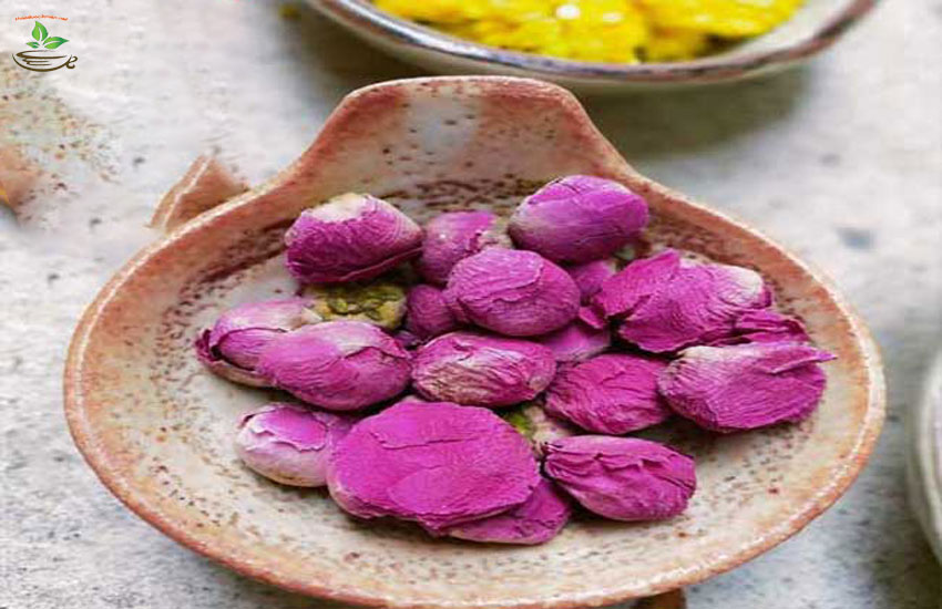 công dụng chính hoa mẫu đơn