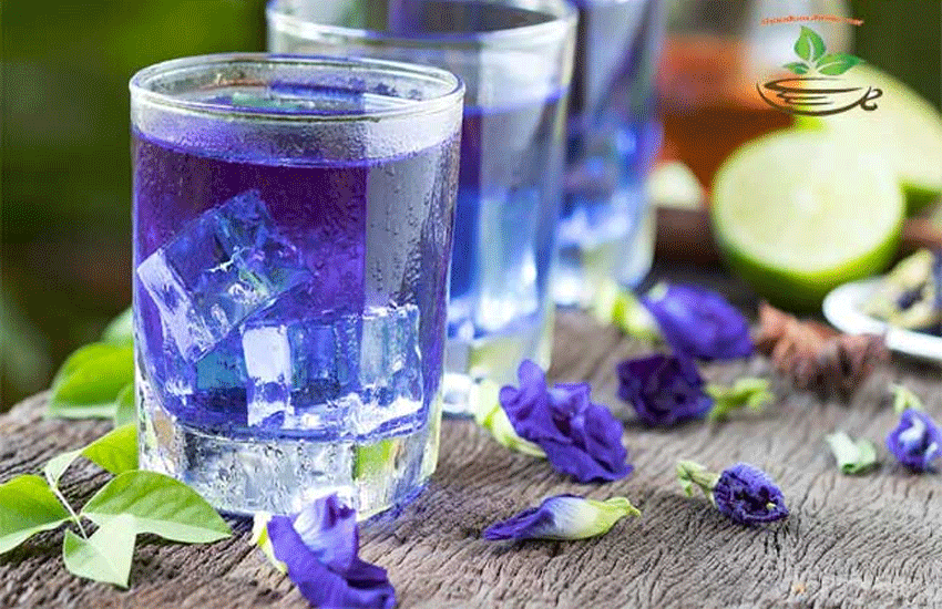 công dụng trà hoa đậu biếc