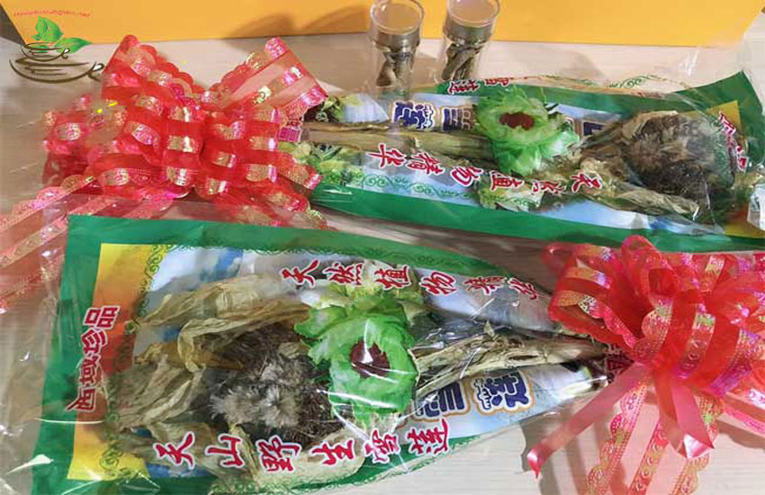 công dụng của hoa thiên sơn tuyết liên