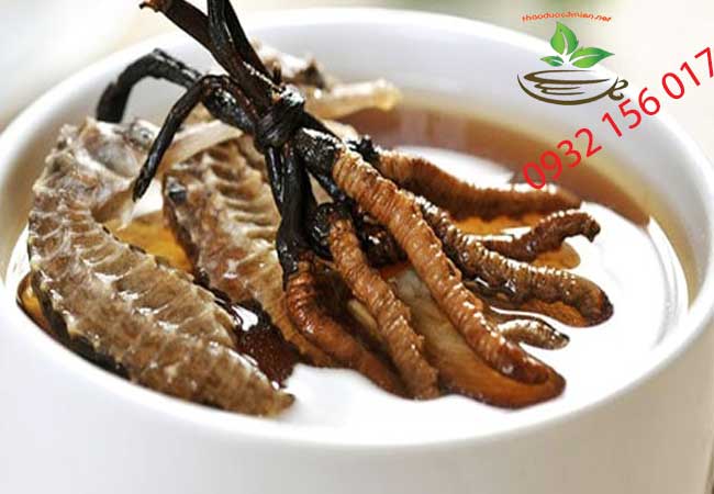 Cá ngựa với phụ nữ và trẻ em