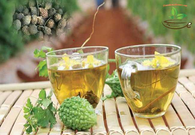 Cách dùng khổ qua rừng