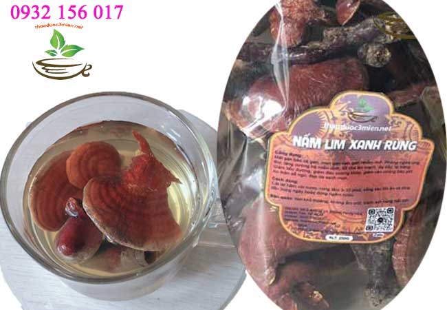 cách dùng nấm lim xanh rừng