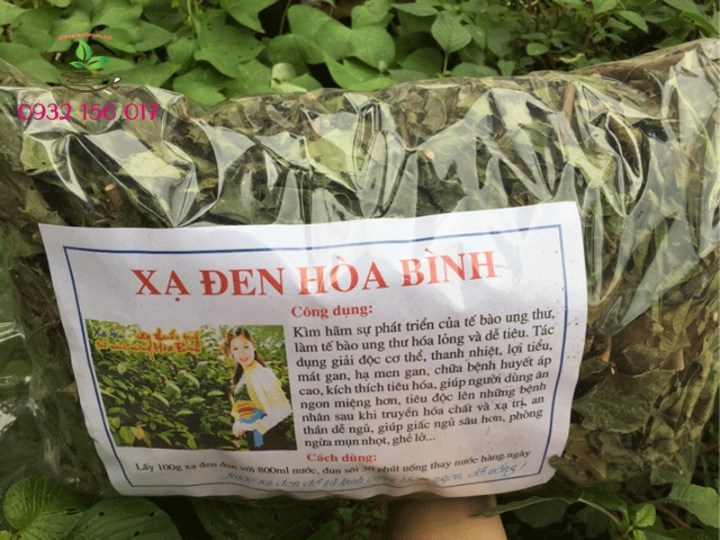 cách sử dụng lá xạ đen