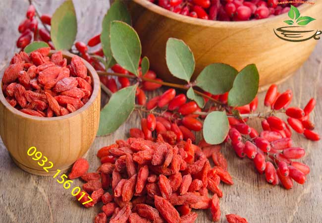 Câu kỷ tử Câu kỷ tử