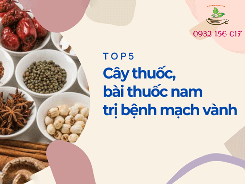 top 5 cây thuốc nam trị tim mạch