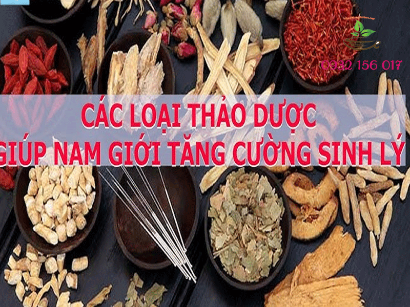 cây thuốc nam trị yếu sinh lý