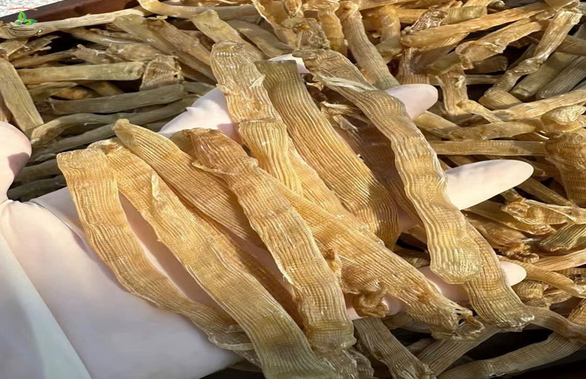 chế biến món ngon từ sá sùng