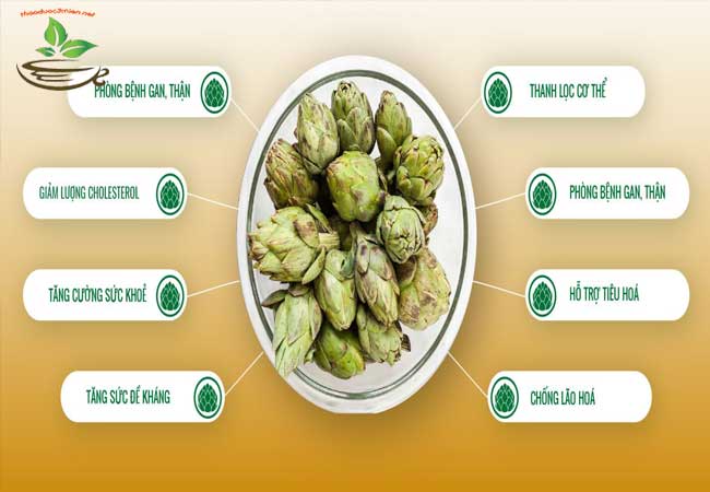 côn dụng trà atiso đà lạt