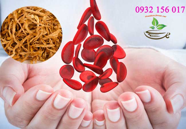 công dụng của hoa kim châm