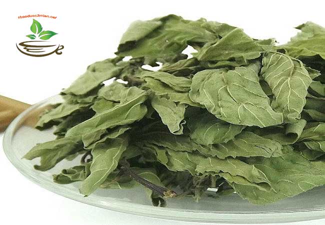 công dụng của lá bạc hà