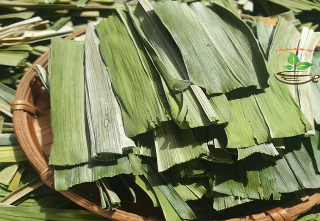 công dụng lá dứa nếp khô