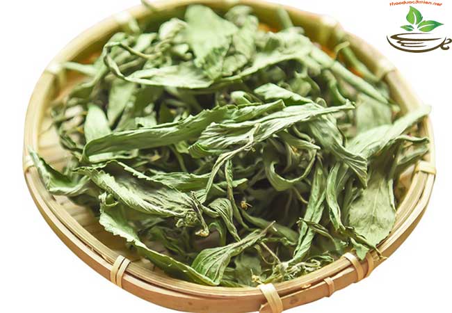 công dụng của trà cỏ ngọt