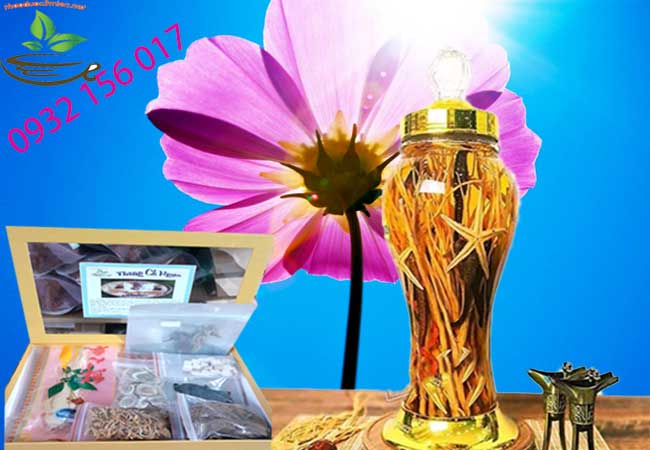 địa chỉ bán rượu cá ngựa
