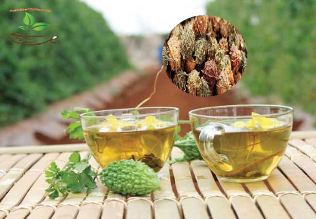 Địa chỉ bán khổ qua rừng mướp đắng rừng