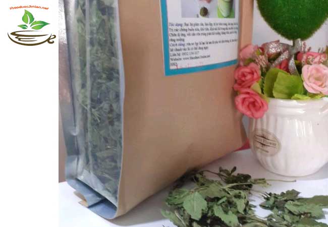địa chỉ bán lá bạc hà