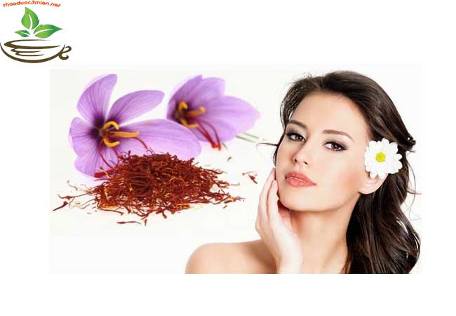 địa chỉ bán nhụy hoa nghệ tây