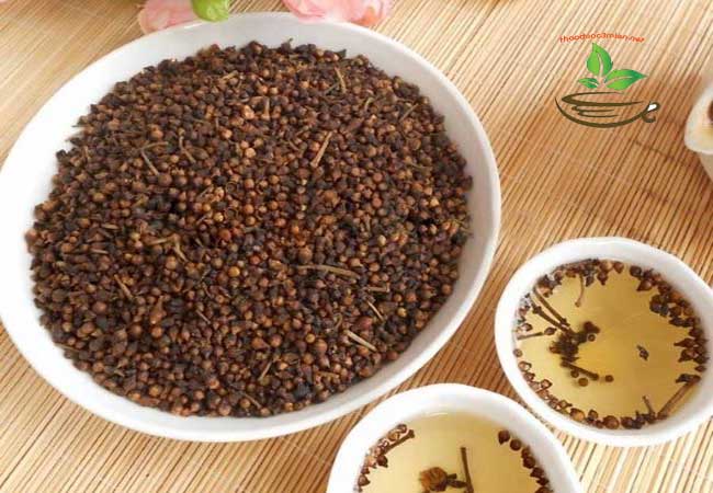 địa chỉ bán nụ vối
