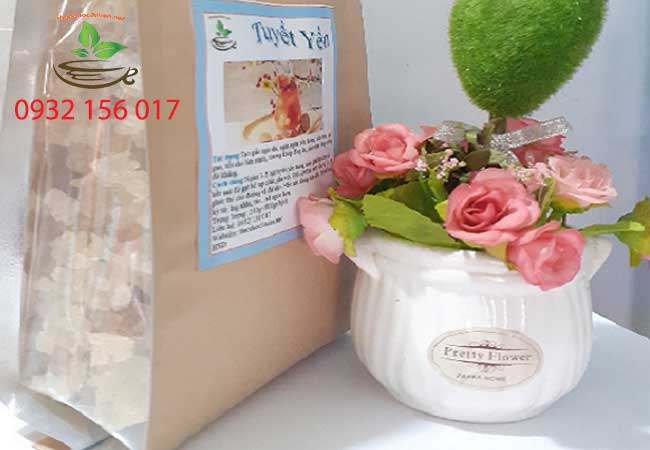địa chỉ bán tuyết yến