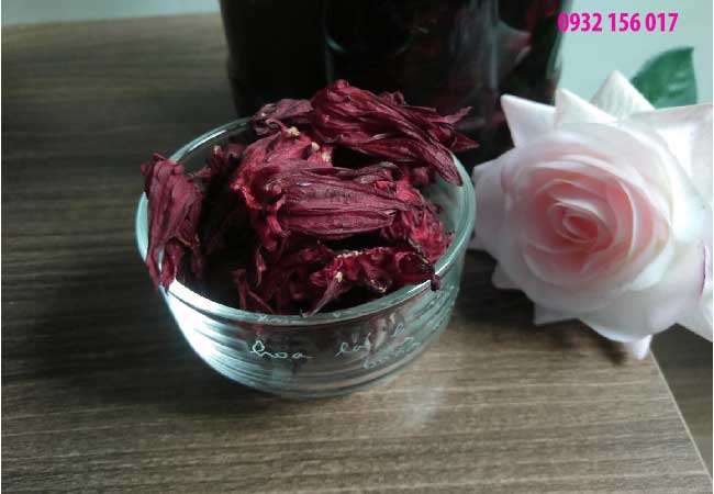 đối tượng dùng atiso đỏ bụp giam hibiscus