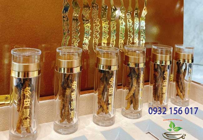Đông trùng hạ thảo con