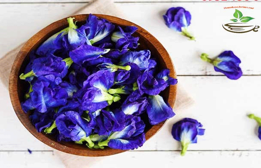 giá hoa đậu biếc